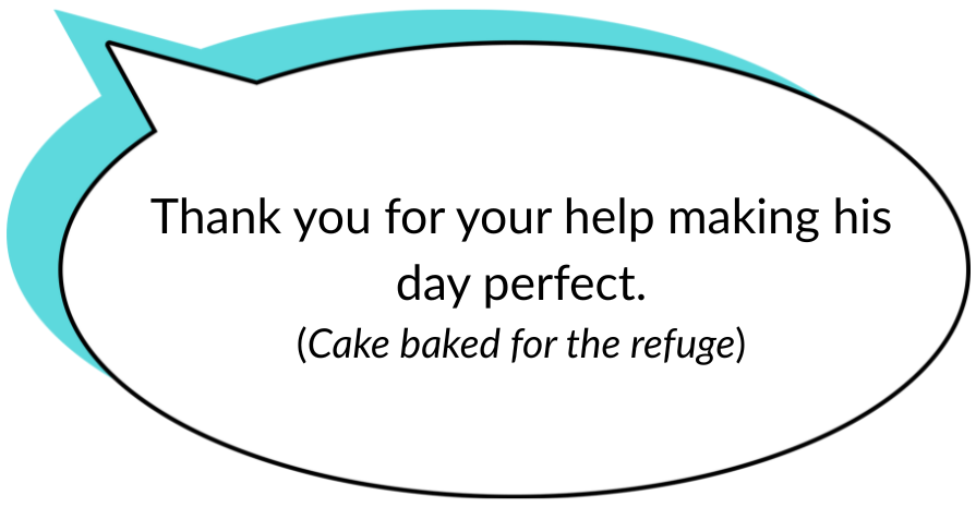 Free Cakes for Kids feedback Refuge